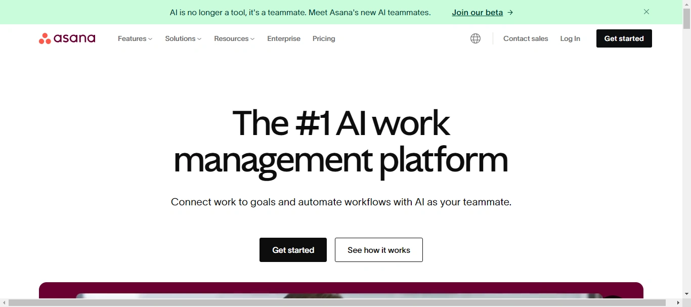 Asana - Project Management Tool